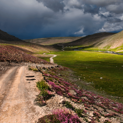 Top Reasons to Travel with a Professional Tour Company Pakistan